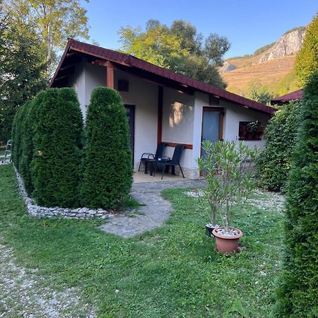 Studiouri Valisoara Esterno foto