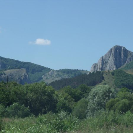 Studiouri Valisoara Esterno foto