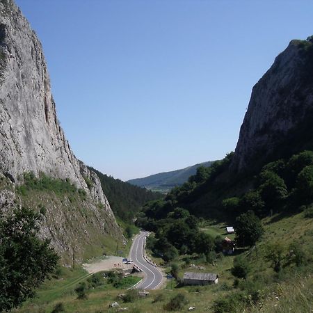 Studiouri Valisoara Esterno foto