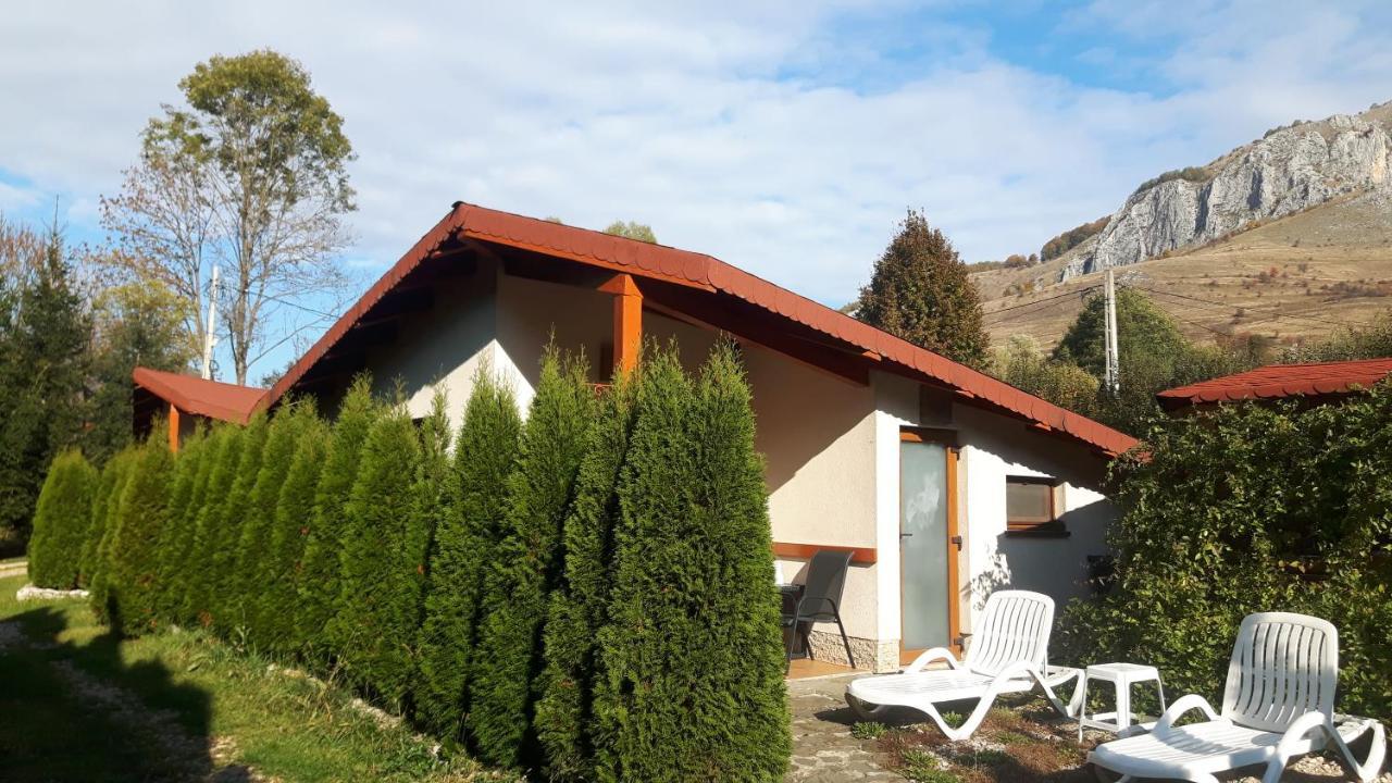 Studiouri Valisoara Esterno foto