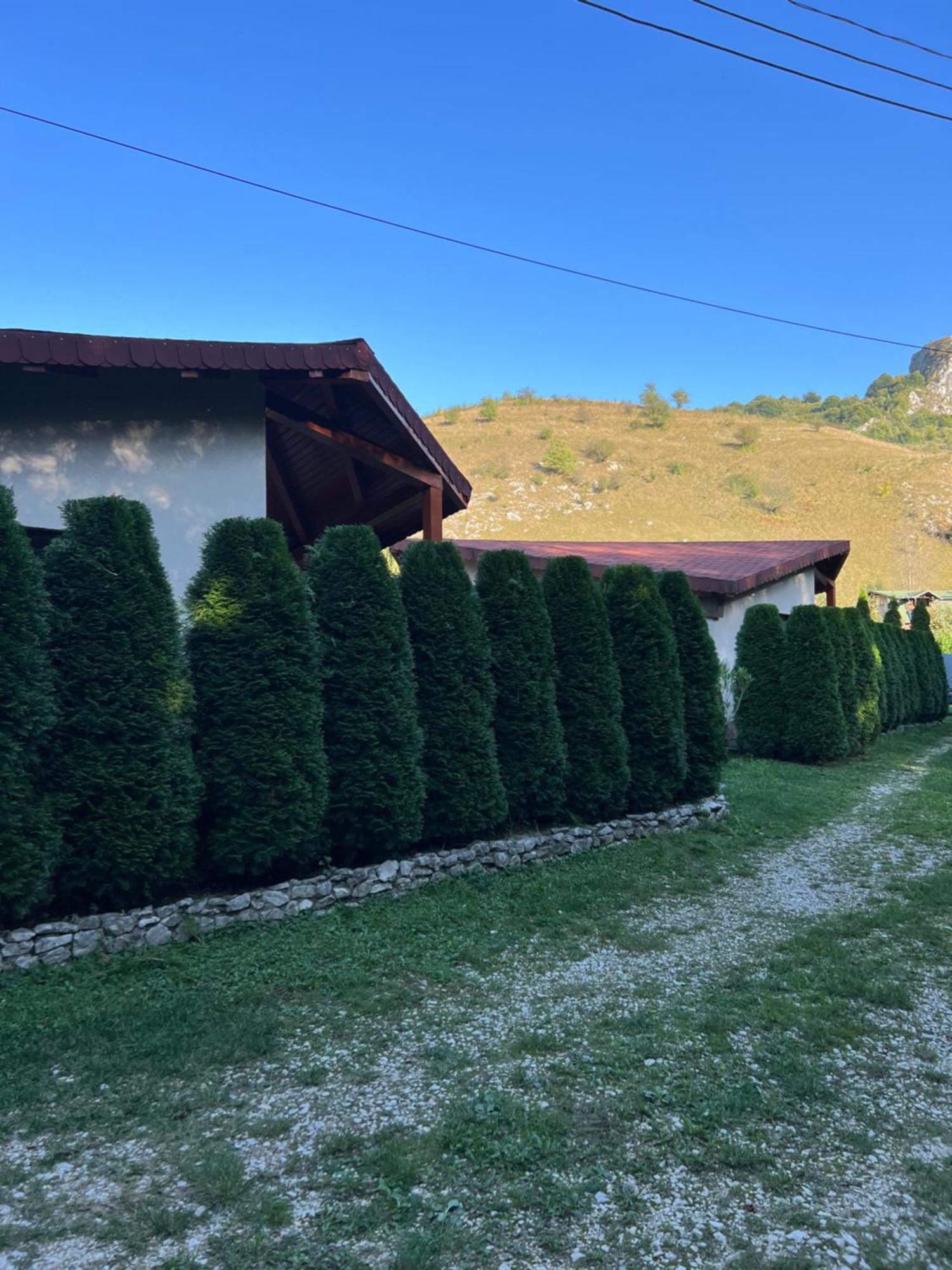 Studiouri Valisoara Esterno foto