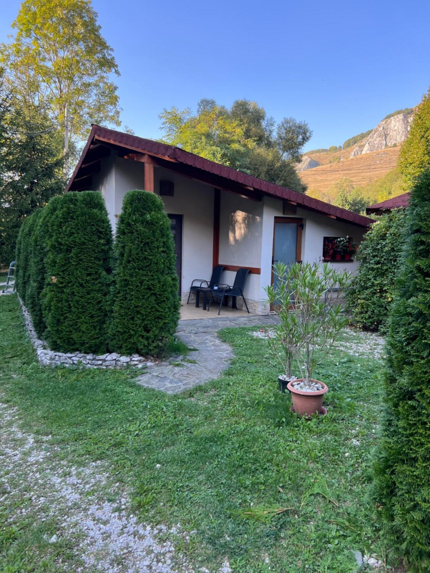 Studiouri Valisoara Esterno foto