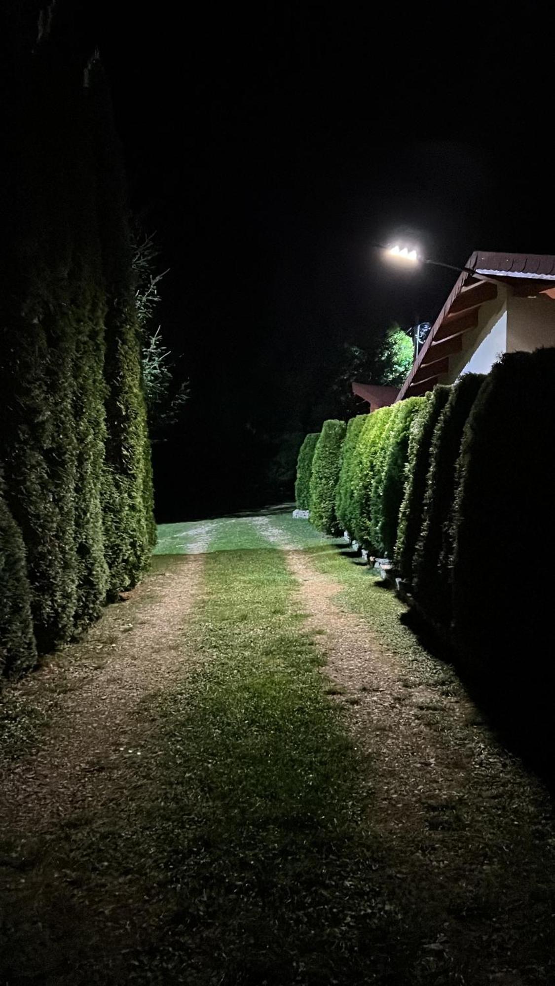 Studiouri Valisoara Esterno foto