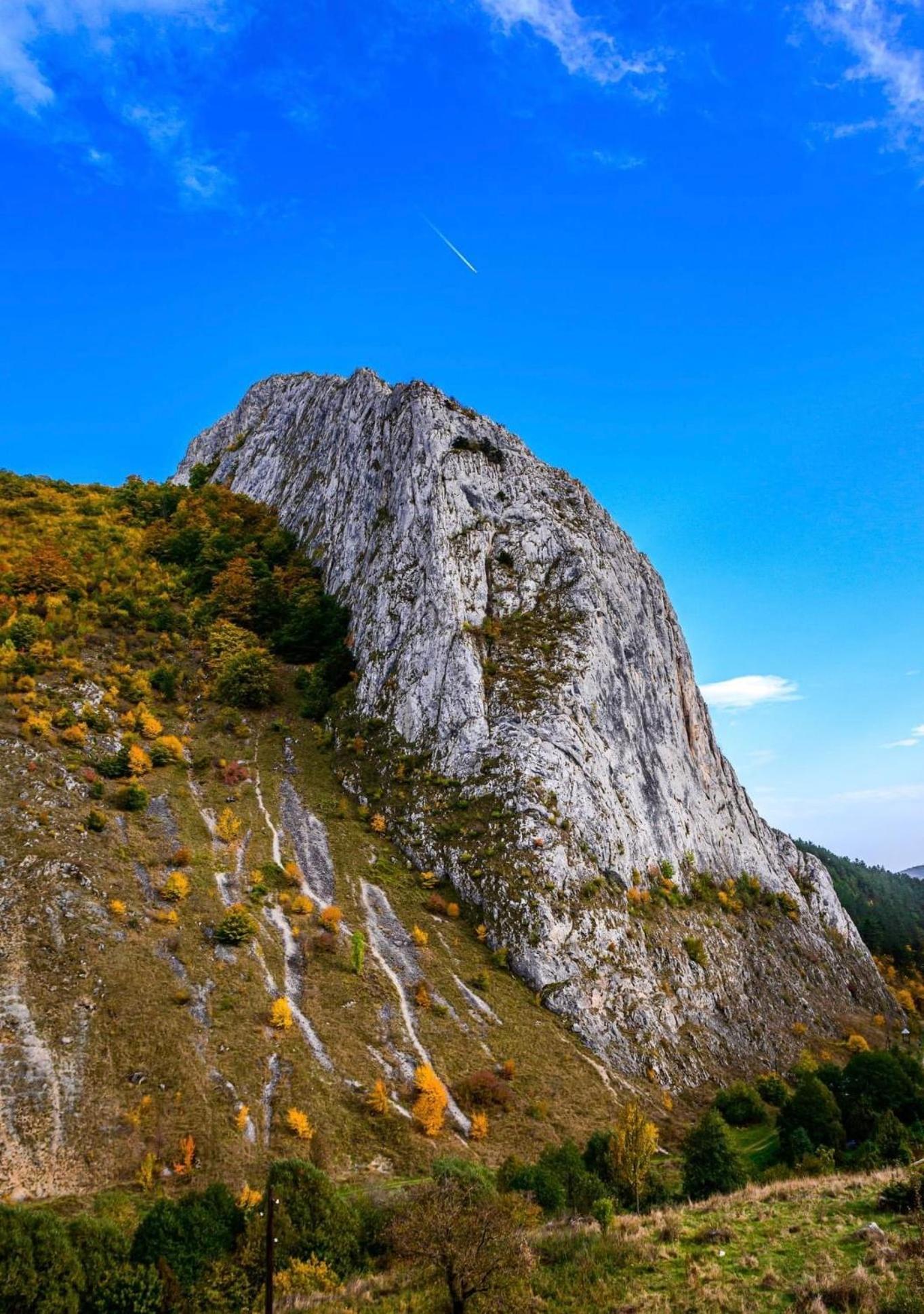 Studiouri Valisoara Esterno foto