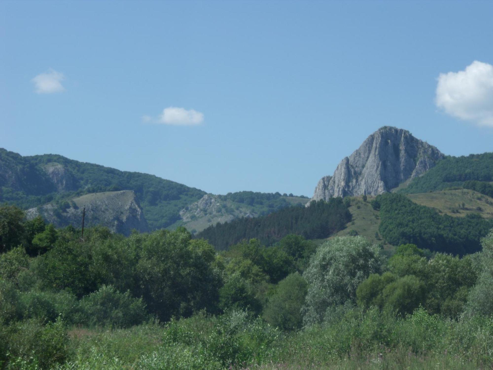 Studiouri Valisoara Esterno foto