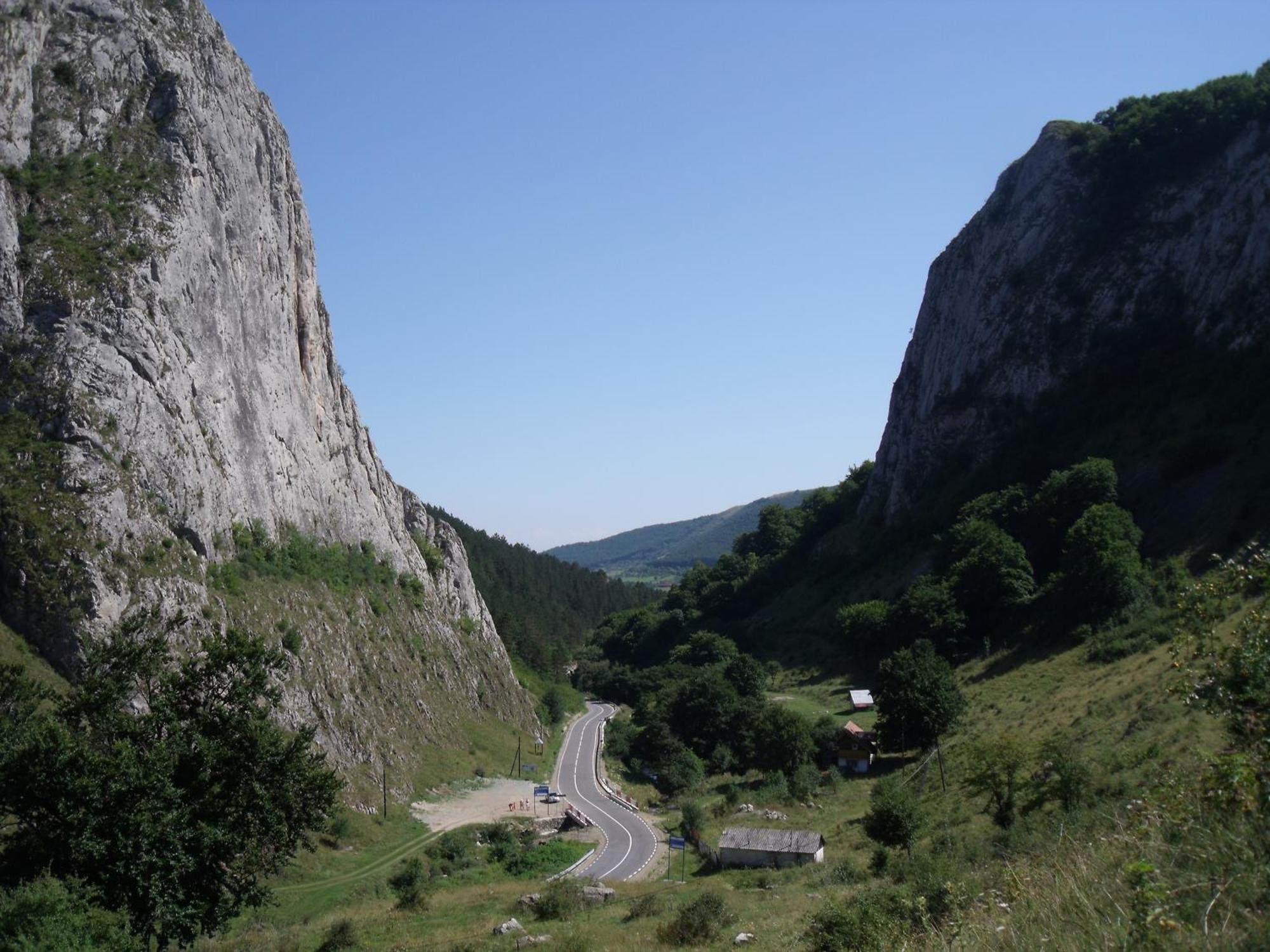 Studiouri Valisoara Esterno foto