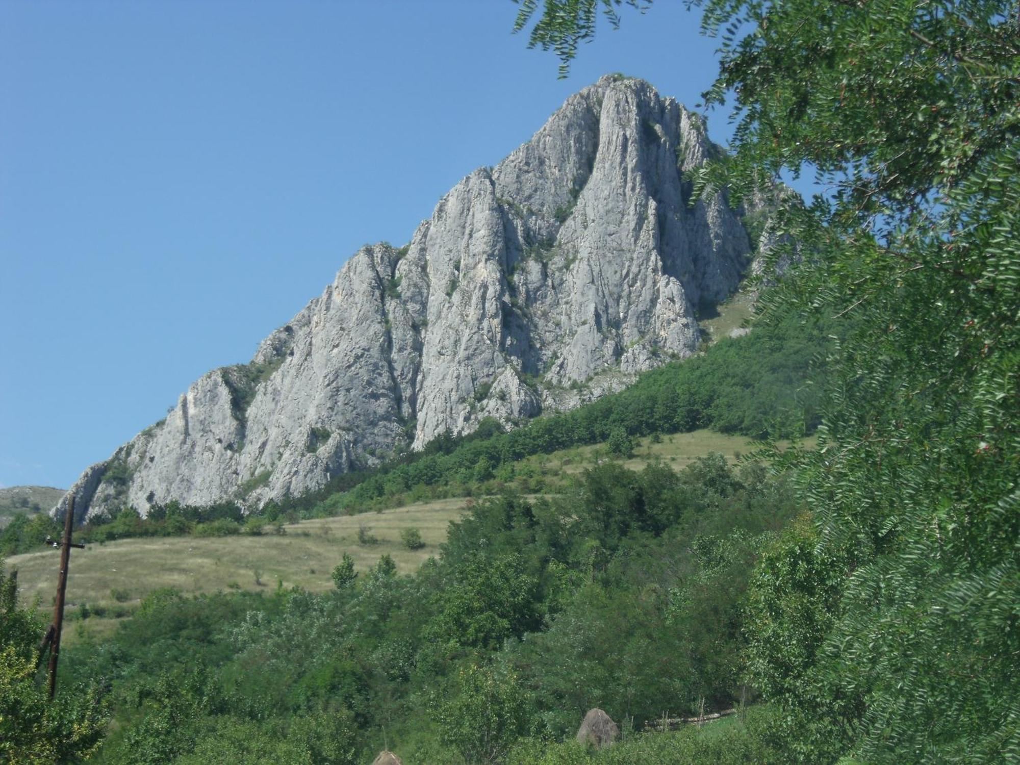 Studiouri Valisoara Esterno foto