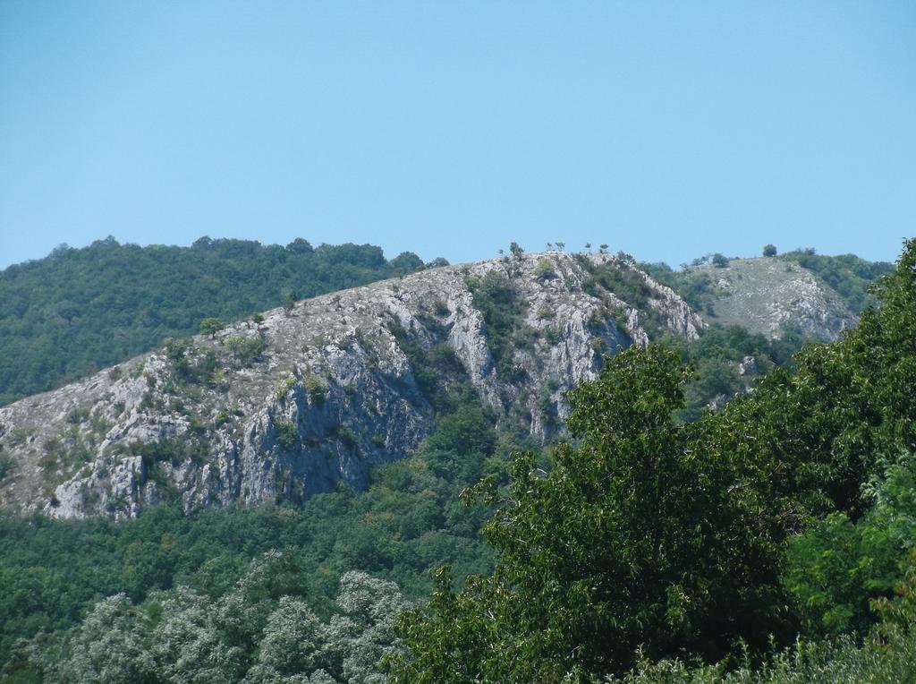 Studiouri Valisoara Camera foto