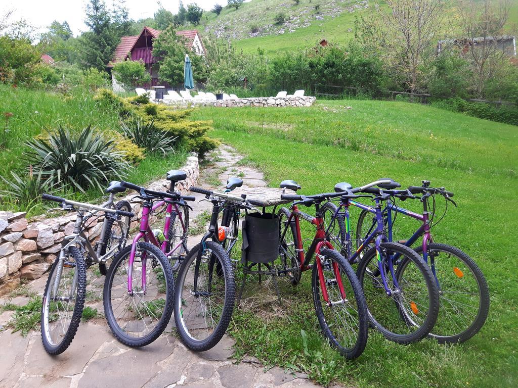 Studiouri Valisoara Esterno foto