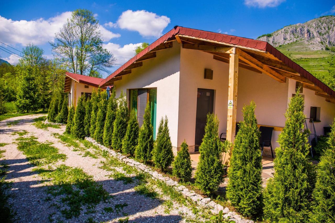 Studiouri Valisoara Esterno foto