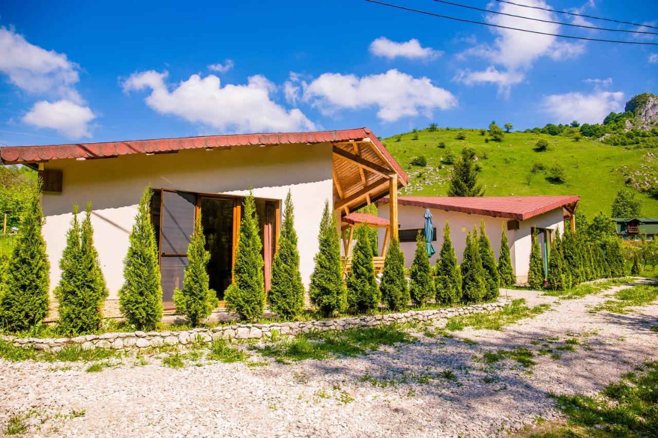 Studiouri Valisoara Esterno foto
