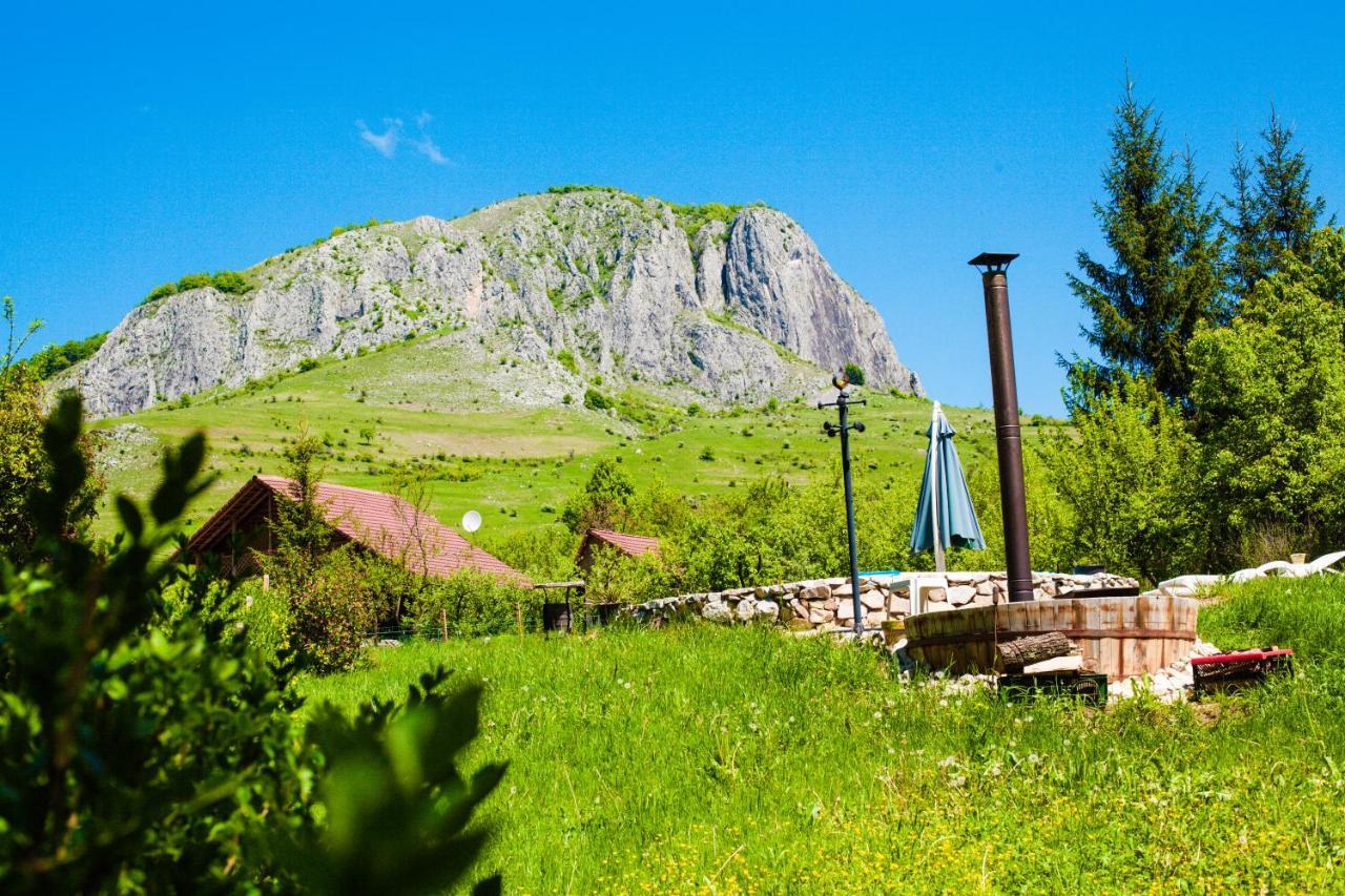 Studiouri Valisoara Esterno foto